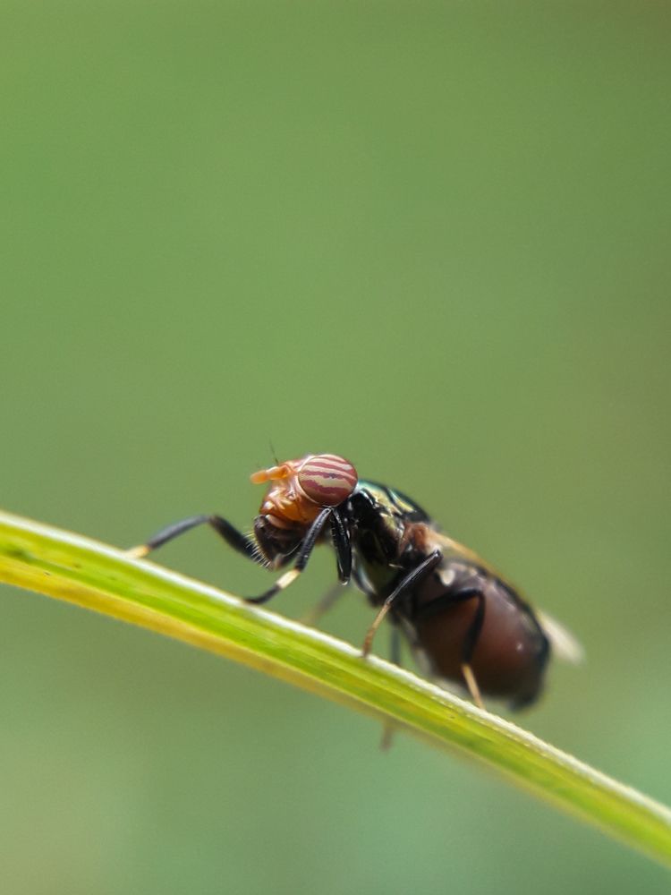 Photograph by Dhaval Solanki