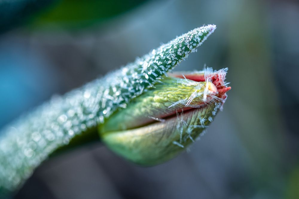 Photograph by Алексей Чистяков