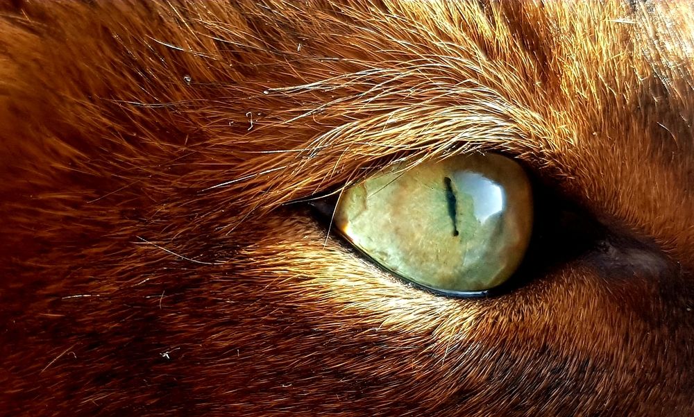 Photograph by Инга Сабанова