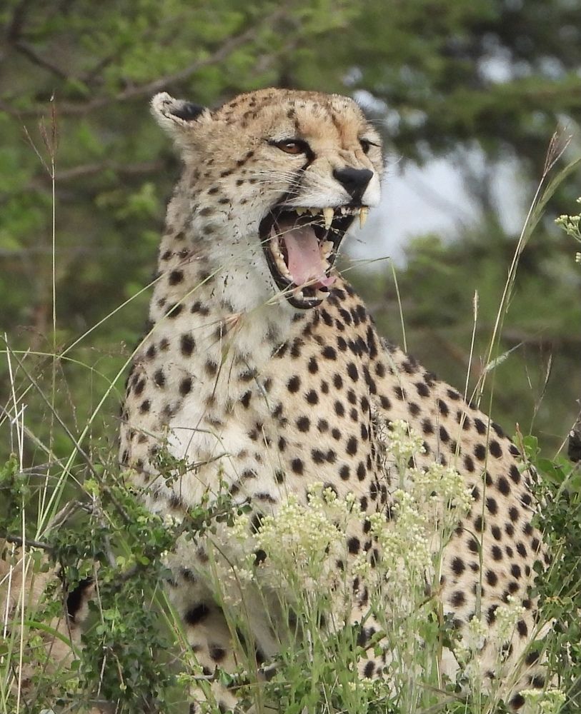 Photograph by Vicky Rose