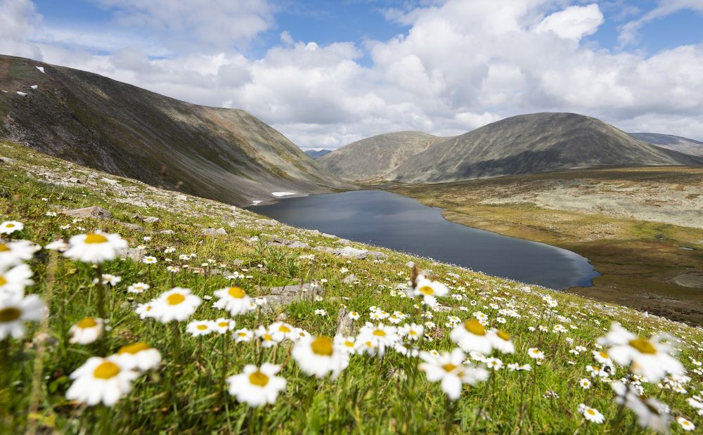 Photograph by Елена Вторушина