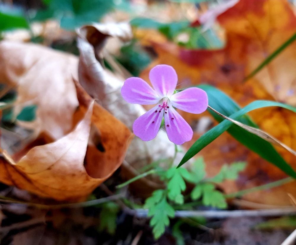 Photograph by Елена Поткина