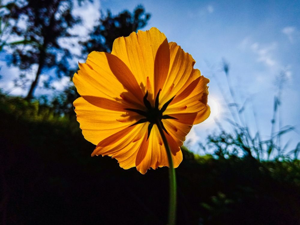 Photograph by Nipun Hennayaka