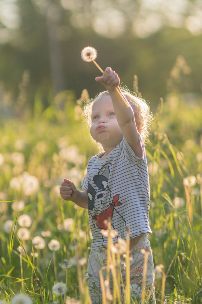 Photograph by Людмила Коробова