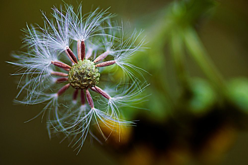 Photograph by Irina Nazarova