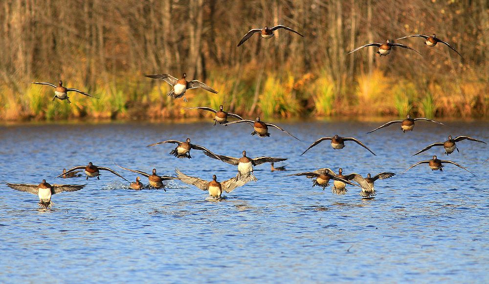 Фотография автора Михаил Крюков