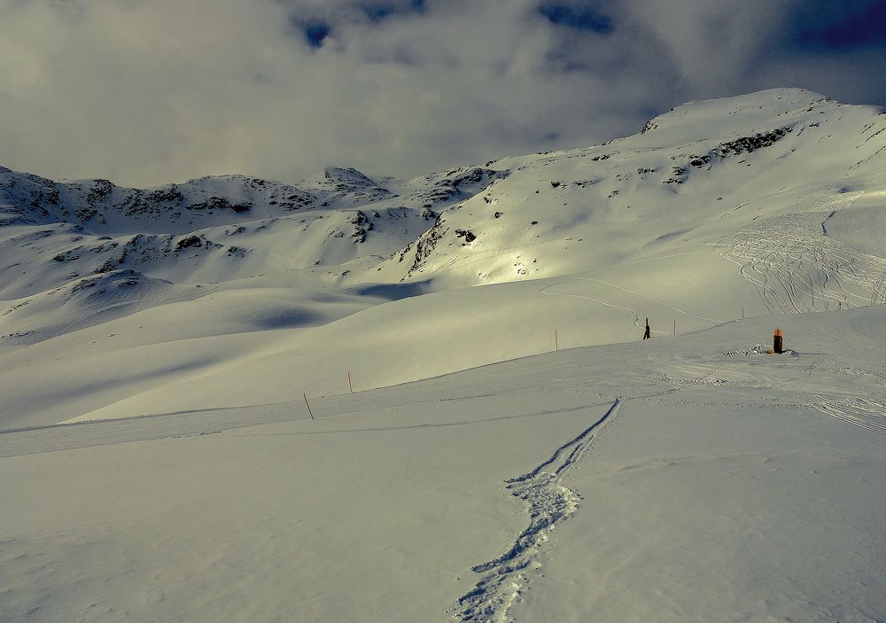 A trace in the virgin snow