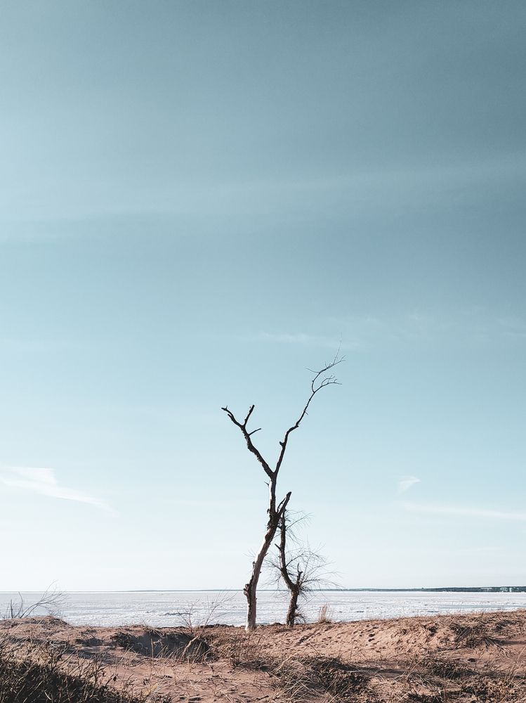 Photo #5828352