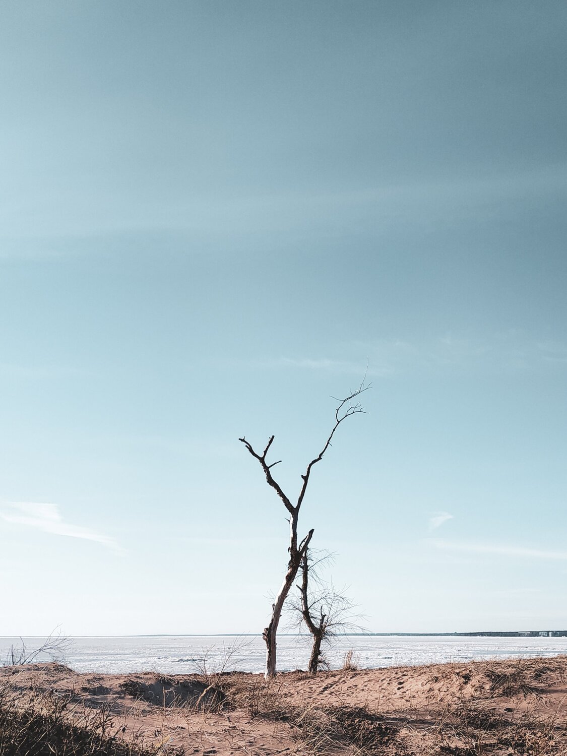Photo #5828352