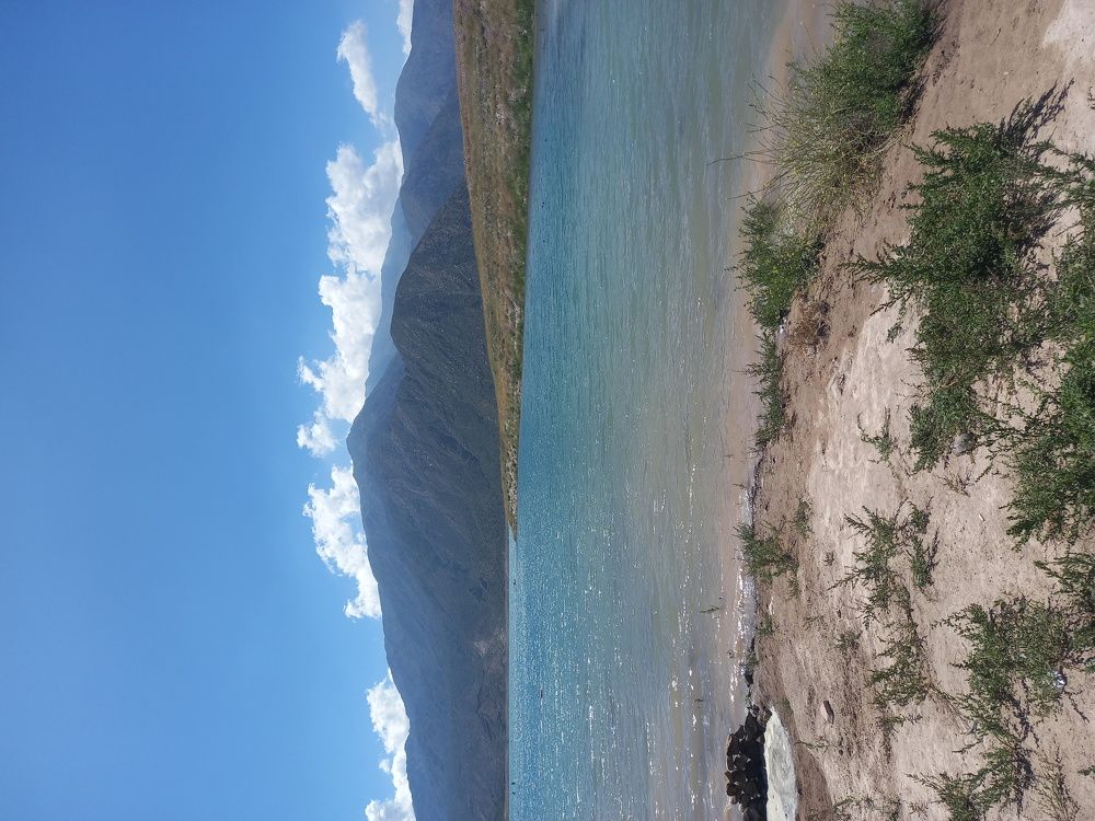 Photograph by Paola Montero