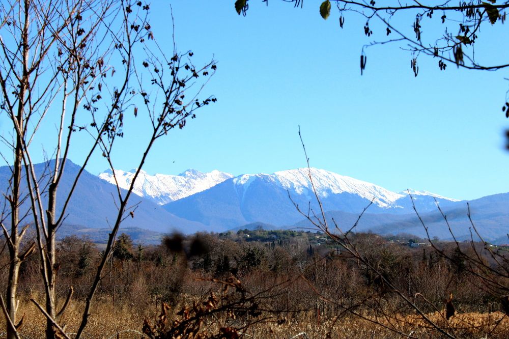 Photograph by Николай Немчанинов