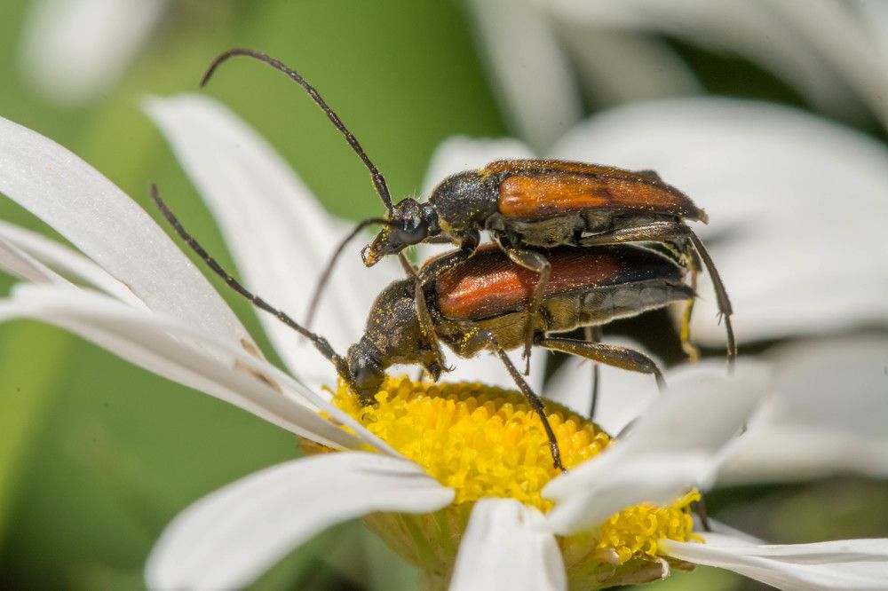 Photograph by Геннадий Сажин