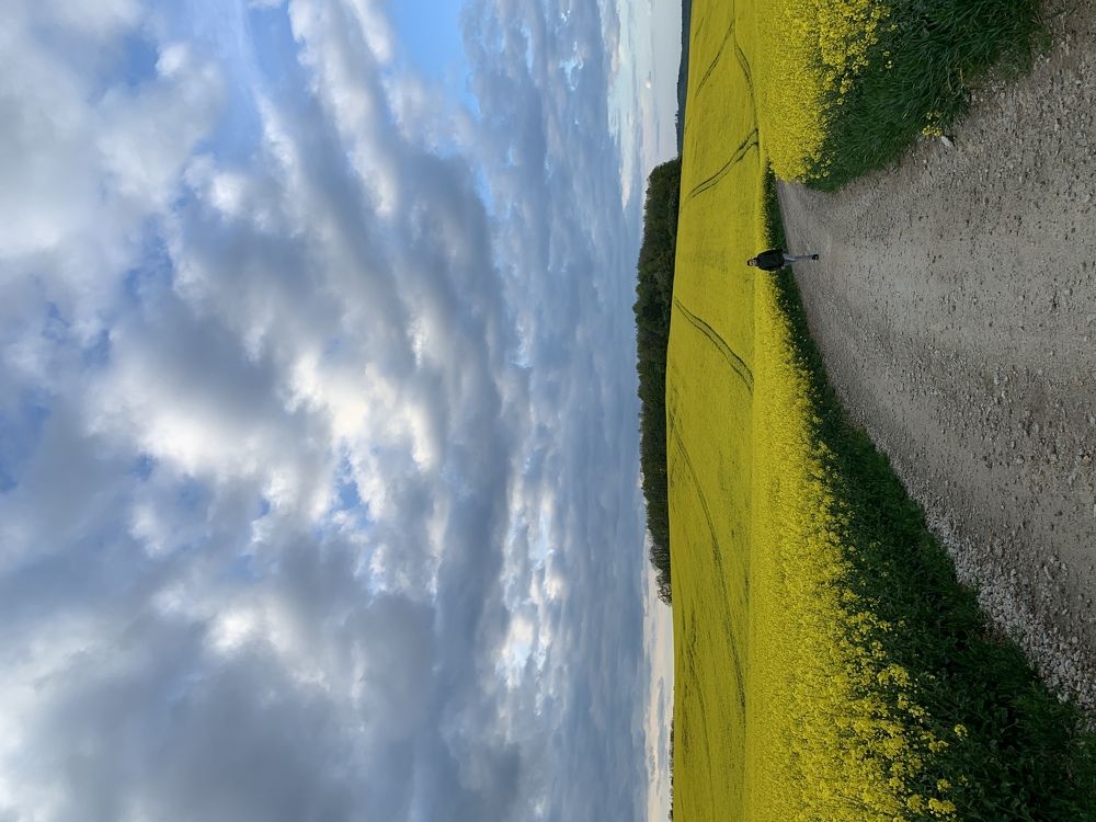 Photograph by Amadeusz