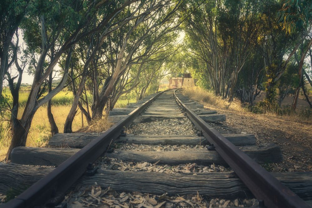 Photograph by GIUSEPPE VELLA