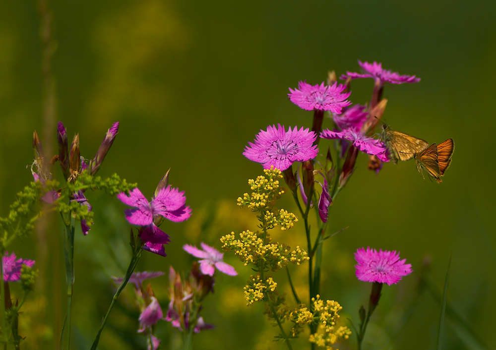 Photograph by Владимир Барышев