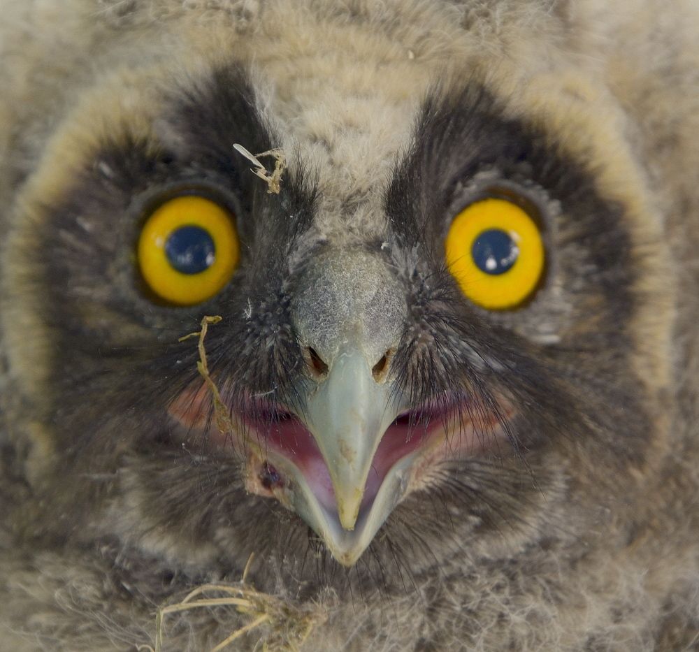 Photograph by Lojze Burja