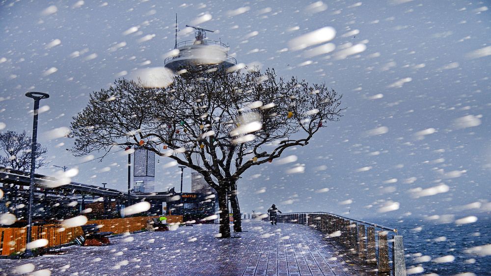 Photograph by Bekir Yesiltas