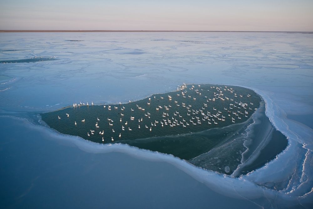 Photograph by Роман Еникеев