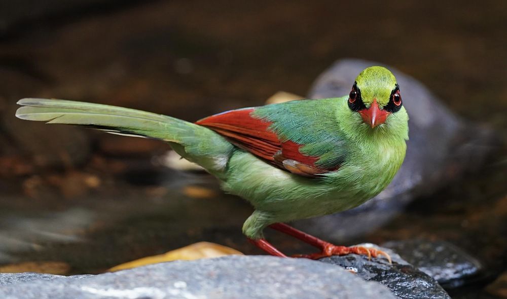 Photograph by Kan Chung Wong