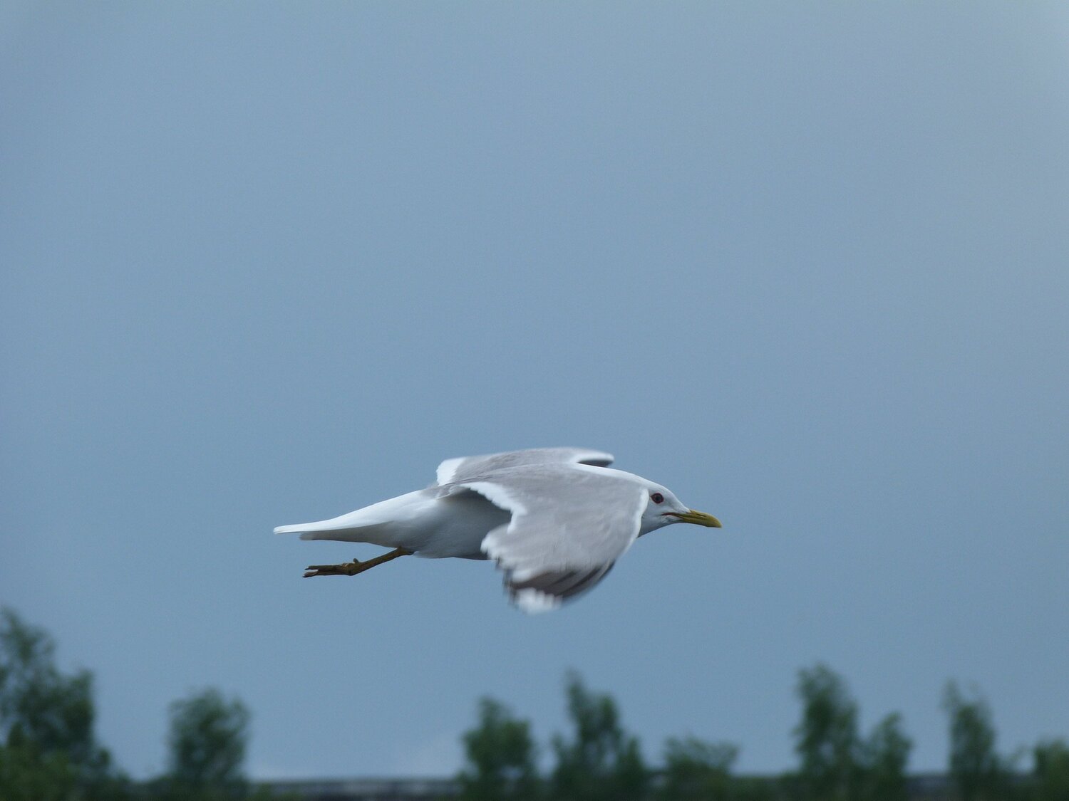 Photo #5828640