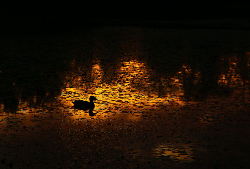 Photograph by Yaroslav