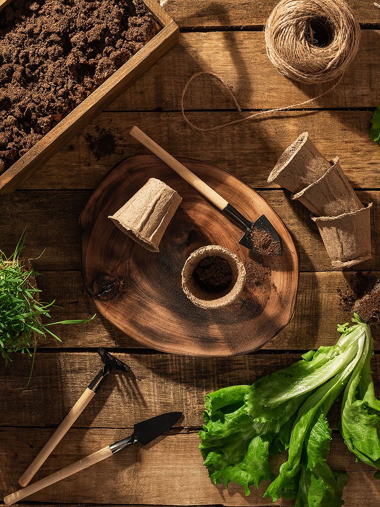 Photograph by Екатерина Катерина