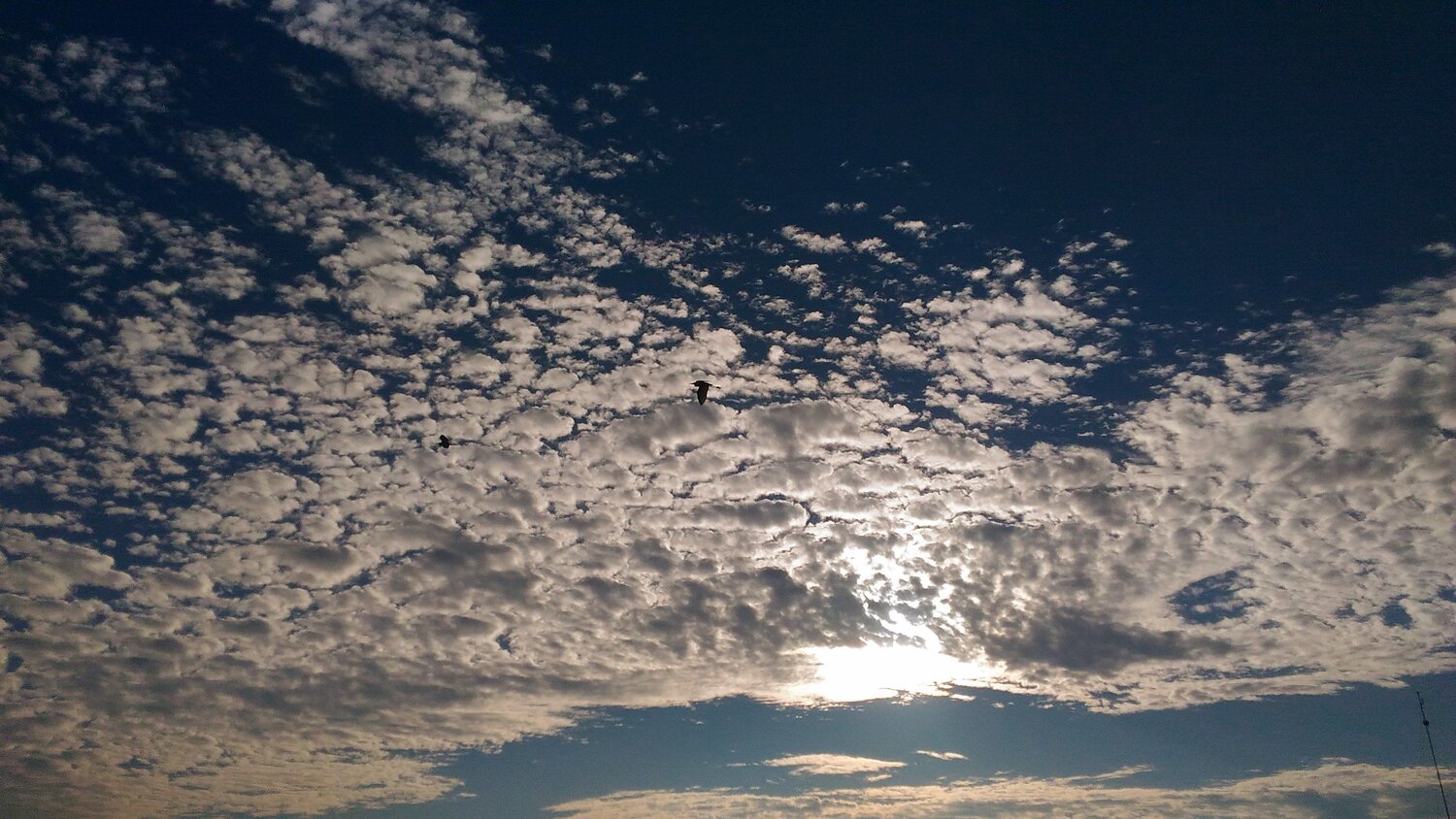 The sky