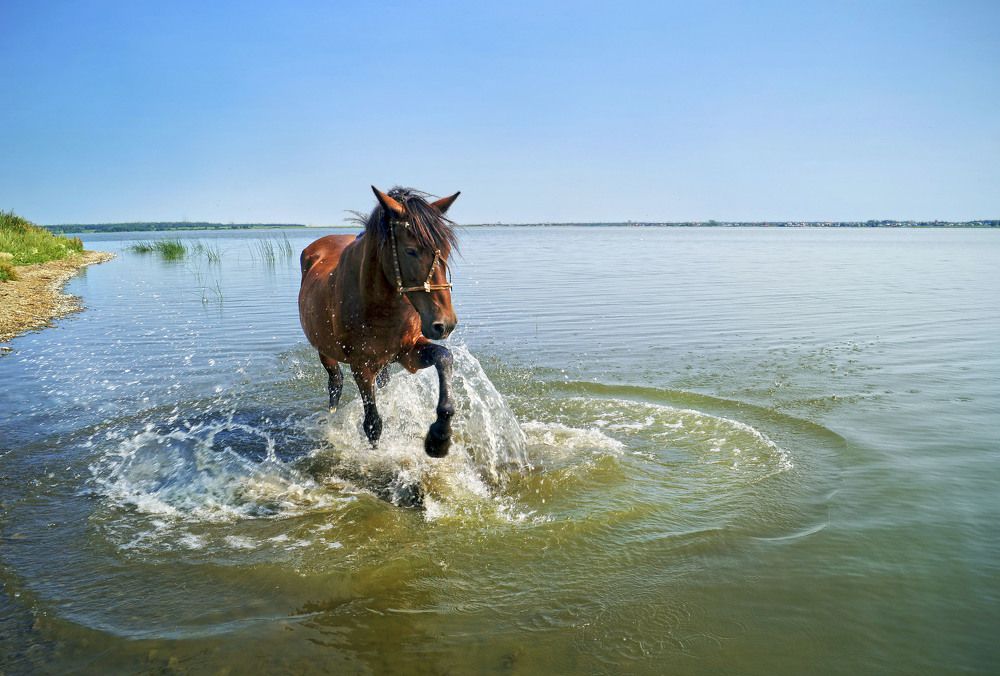 В жаркий полдень.