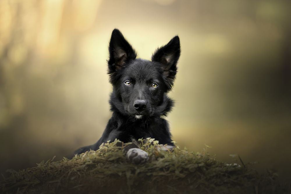 Photograph by Deise de Oliveira