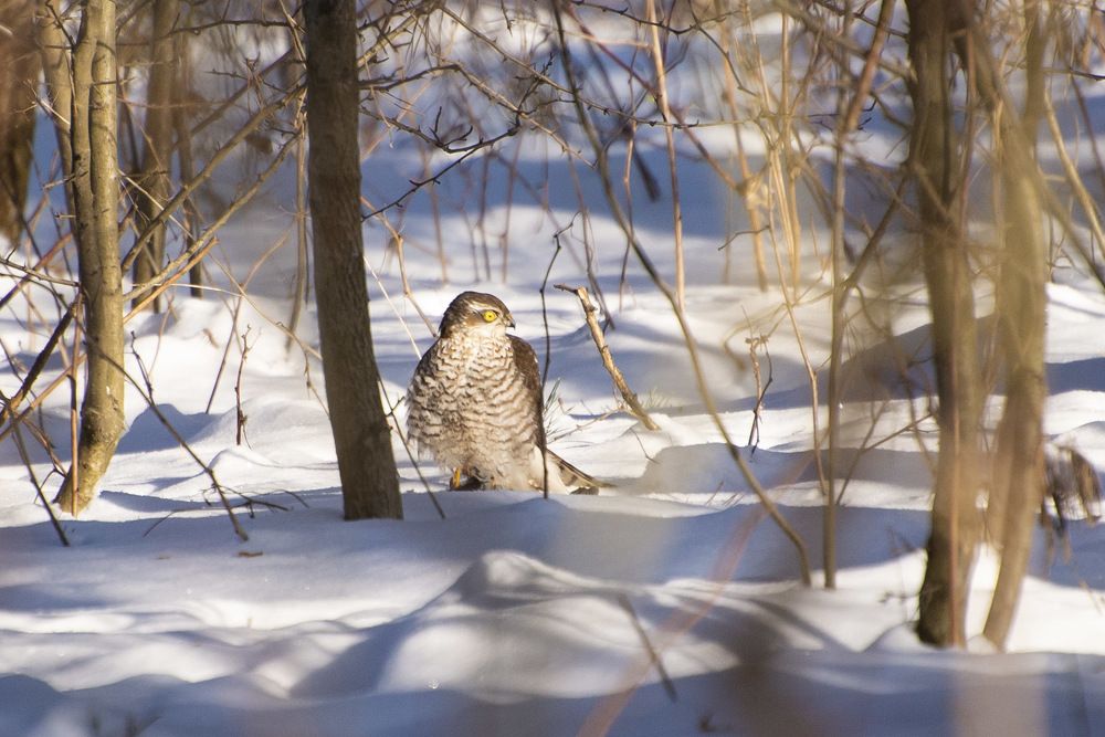 Photograph by Мария Долбич