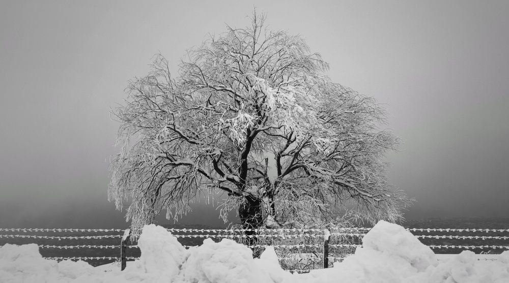 Photograph by Marwan Daccache