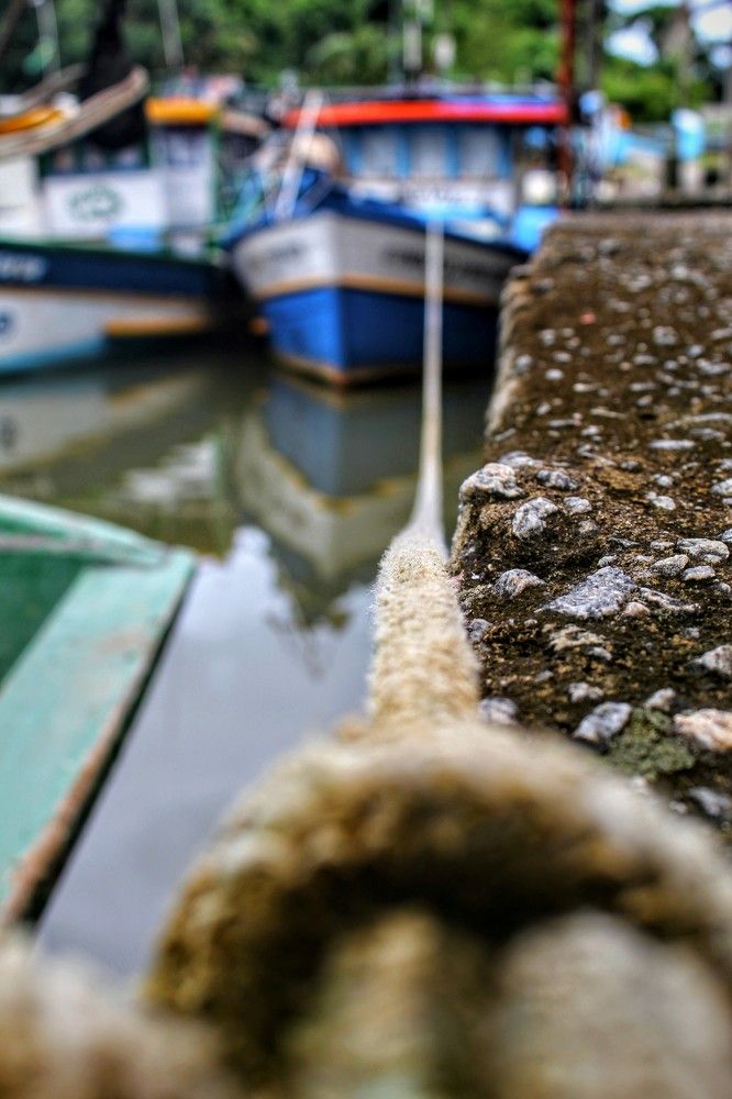 Photograph by EDUARDO DE CARVALHO