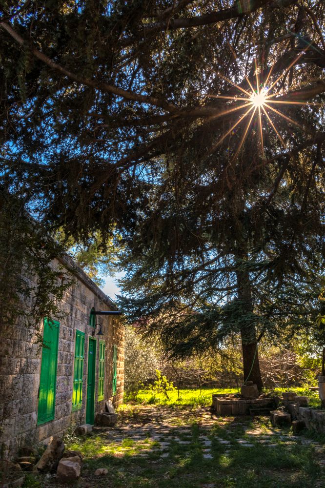 Photograph by Amal Hammoud