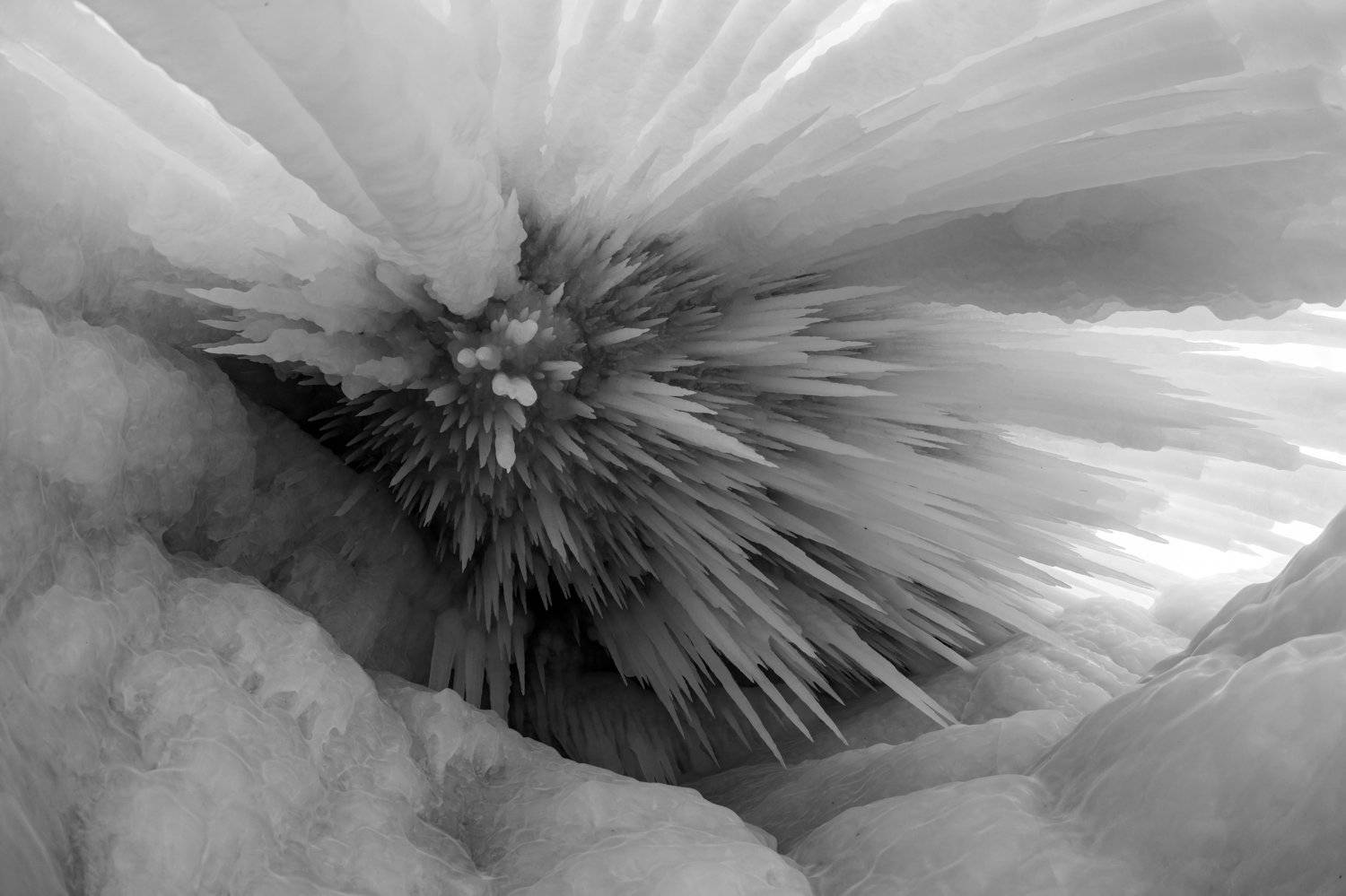 Фотография #5829026