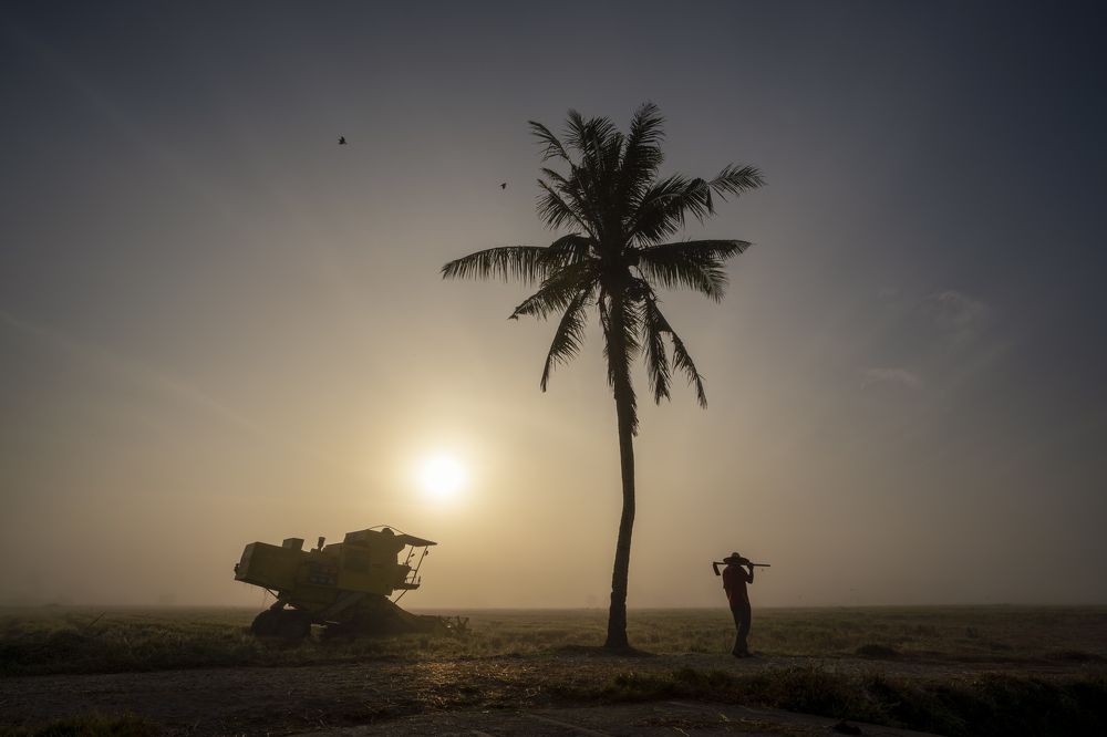 Between traditional and modern