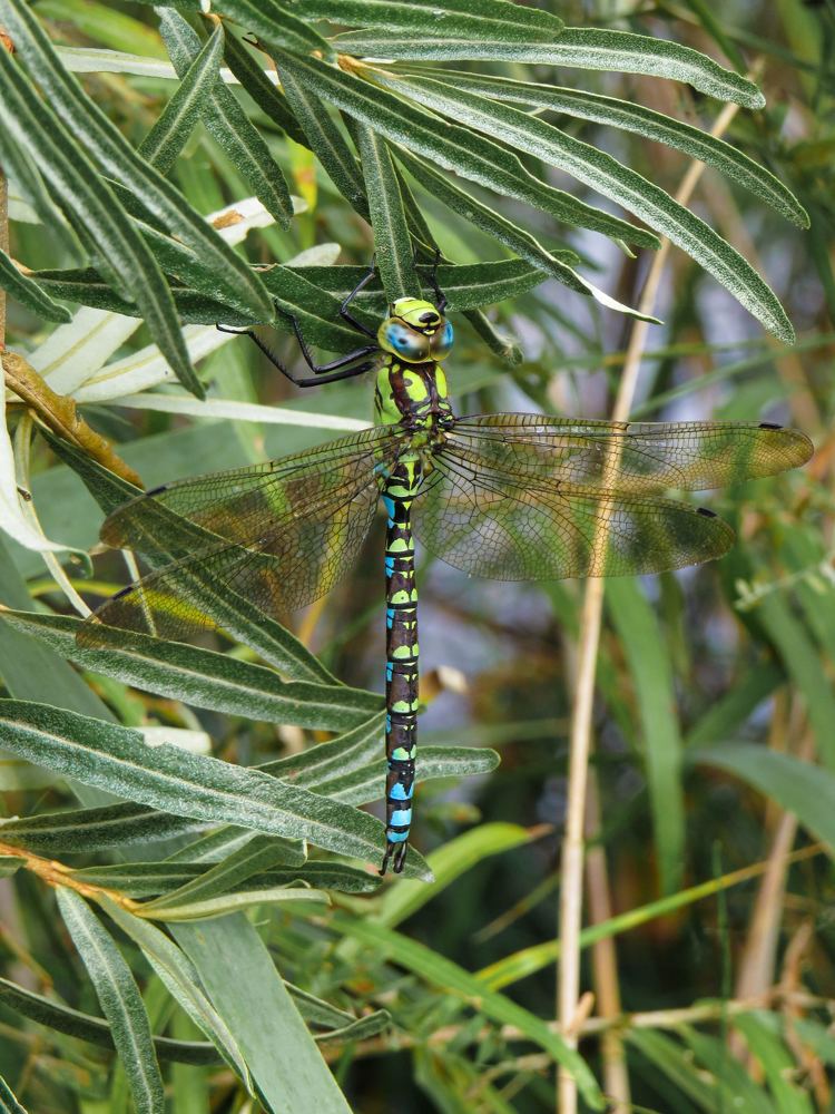 Photograph by Анастасия Романова