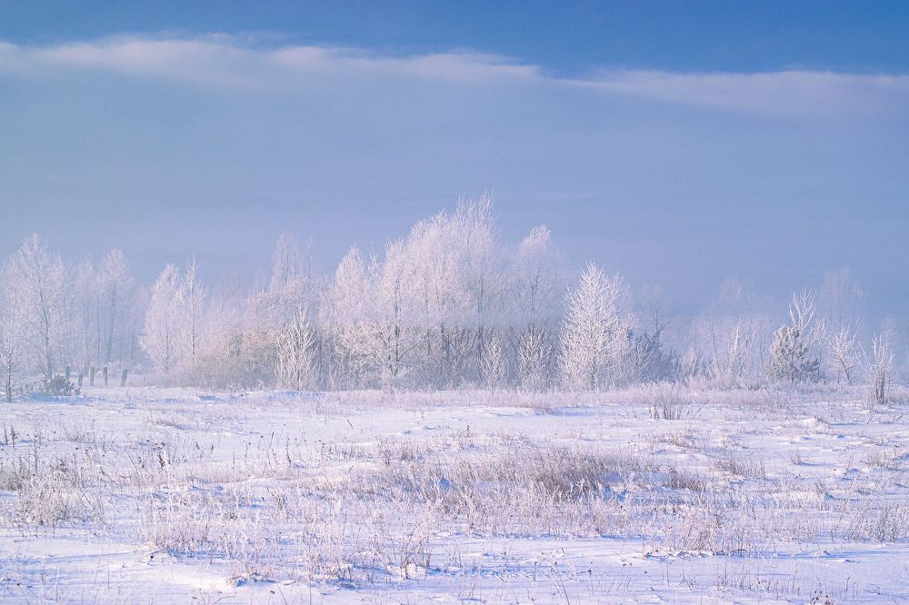 Photograph by Тамара Масло