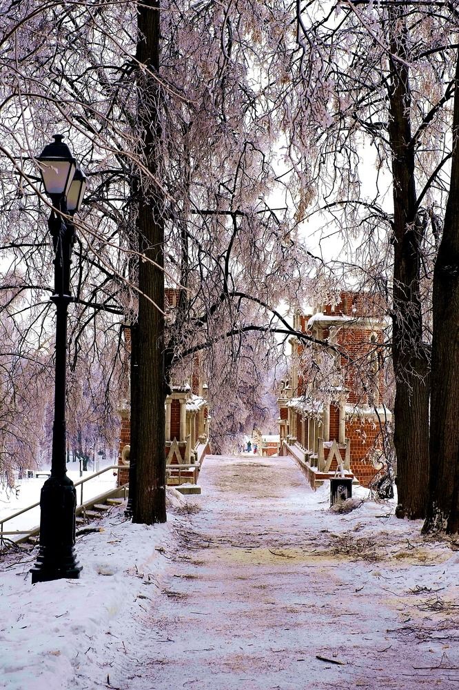 Музей Царицыно