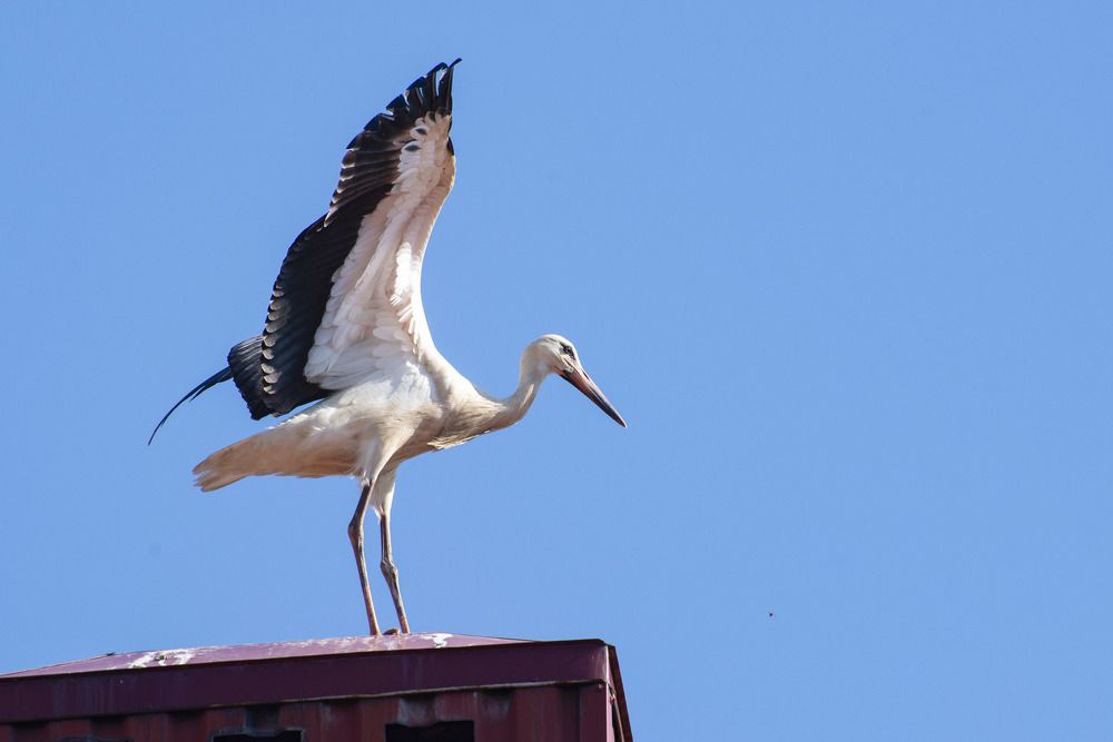 Photograph by Мария Долбич