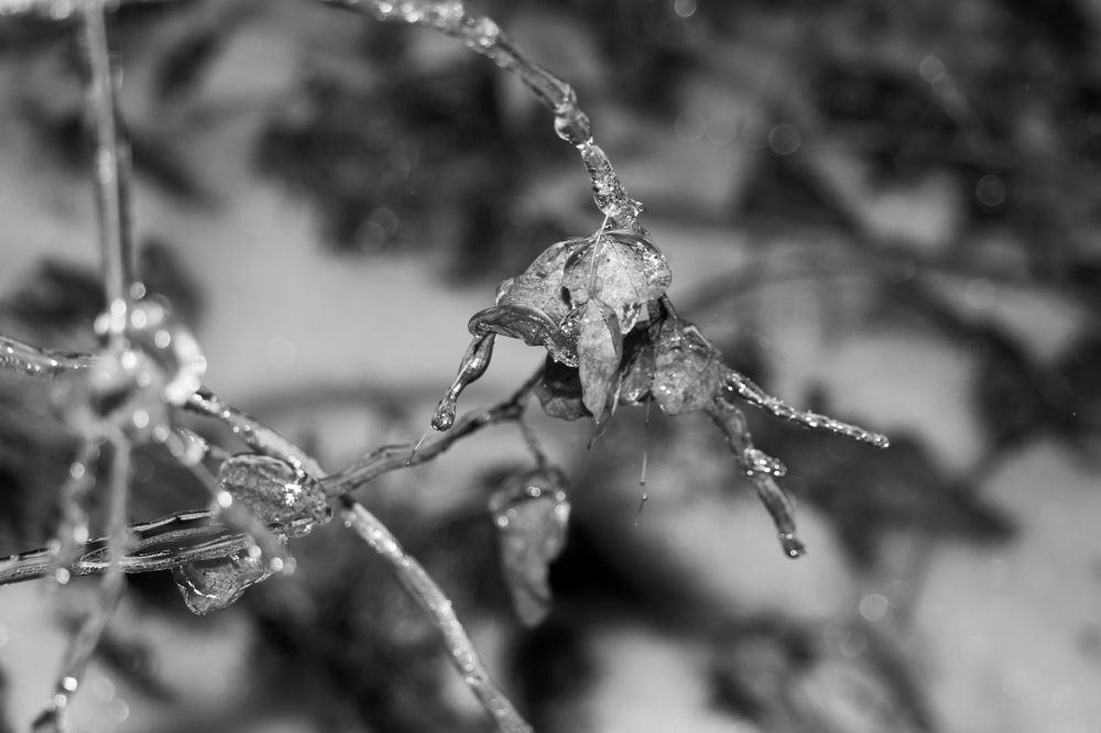 Photograph by Мария Вишневская