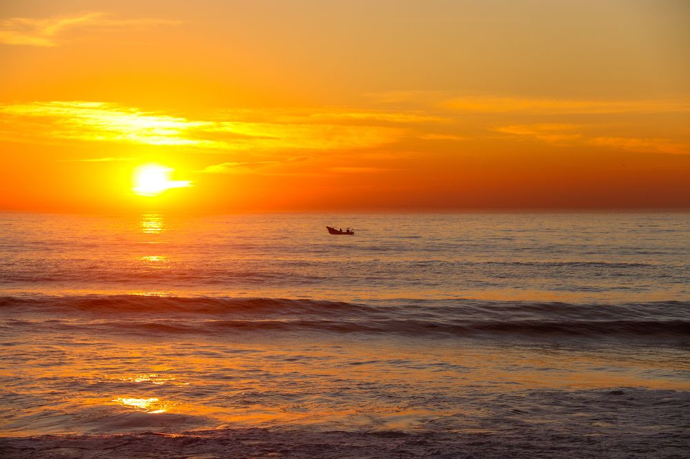 Photograph by Jessica Catarino