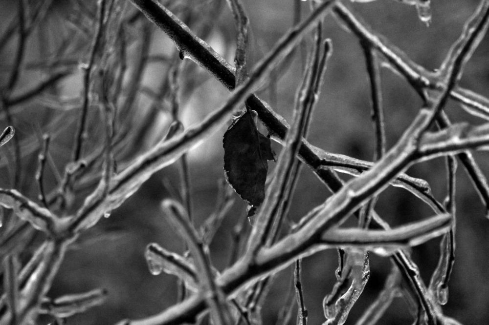 Photograph by Мария Вишневская