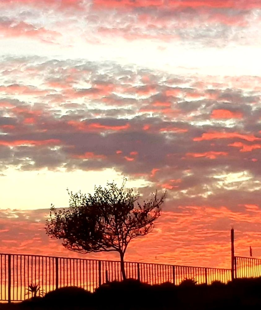 Вечер в моём городе...