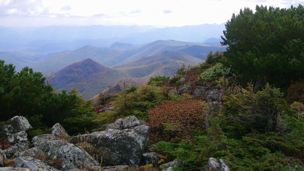 Photo #5829184