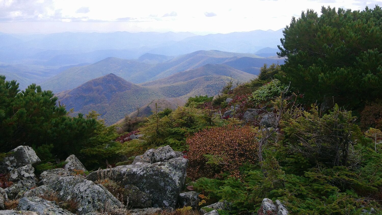 Photo #5829184