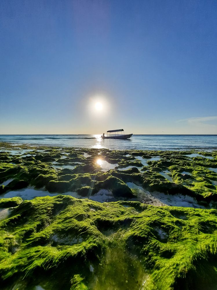 Photograph by Anna Pavlova