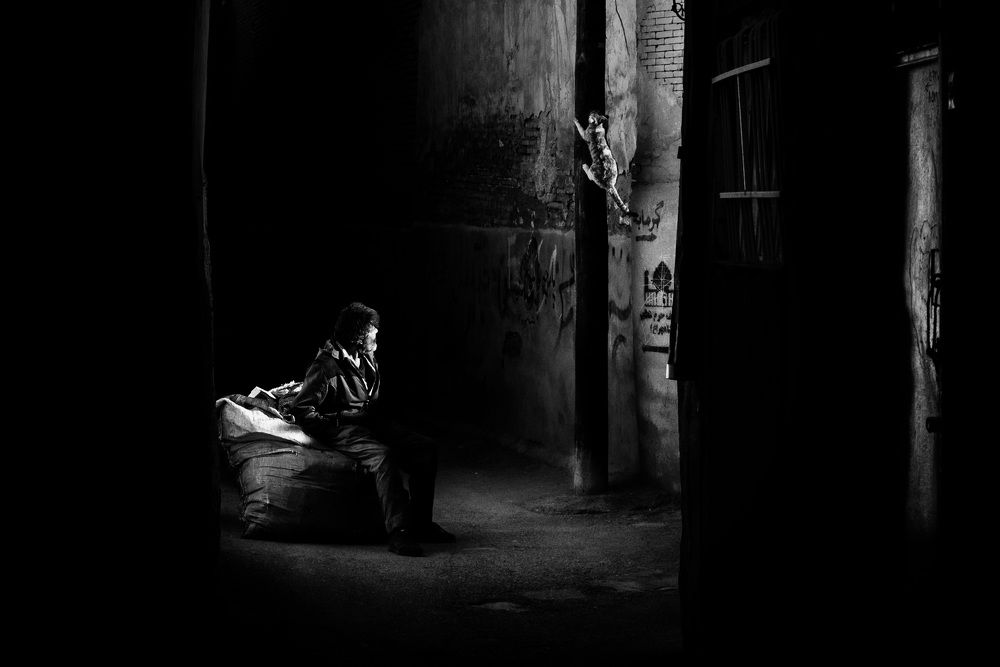 Photograph by Erfan Samanfar