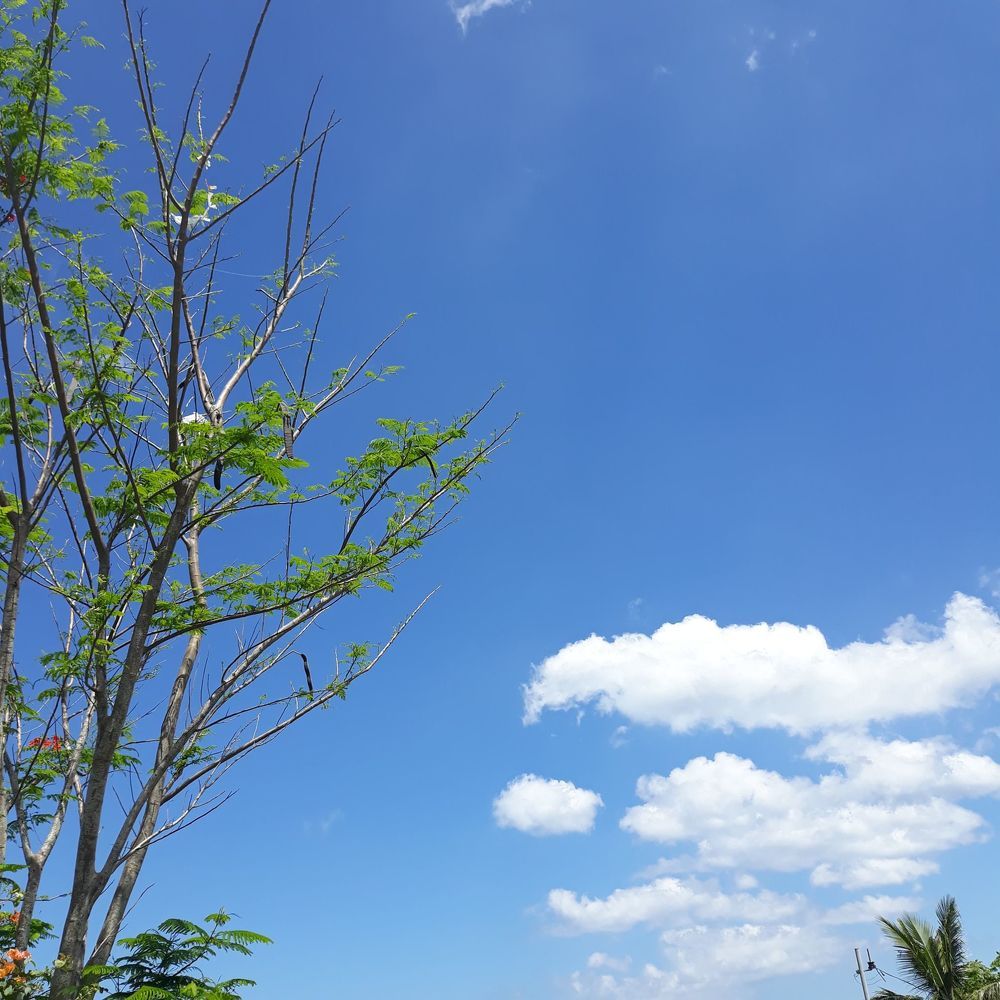 Photograph by Mutya Manalo