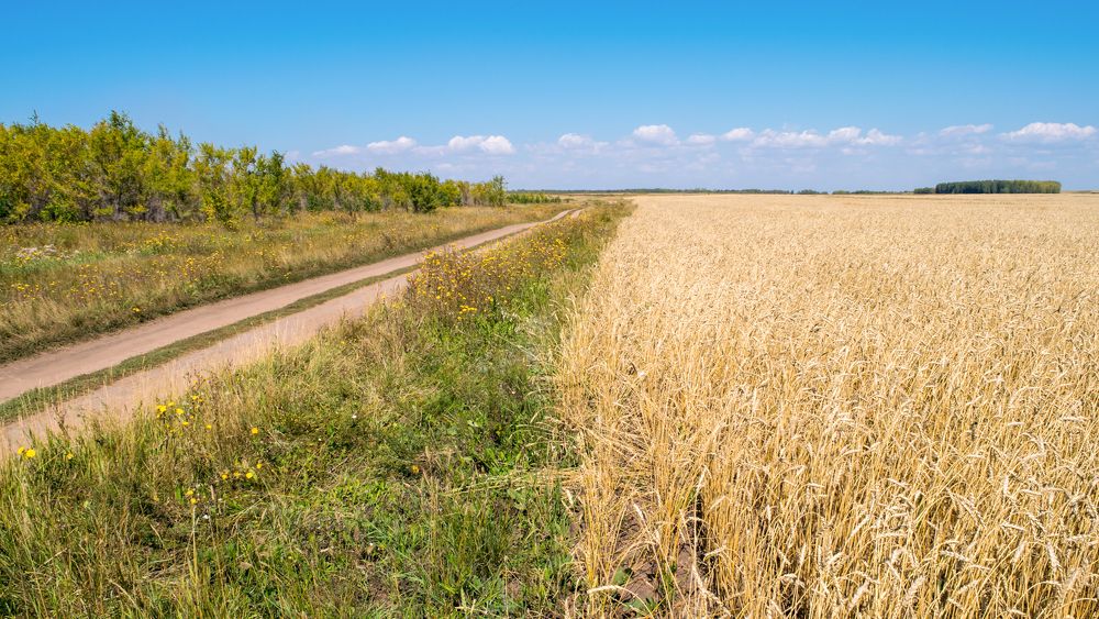 Photograph by Валерий Федяров