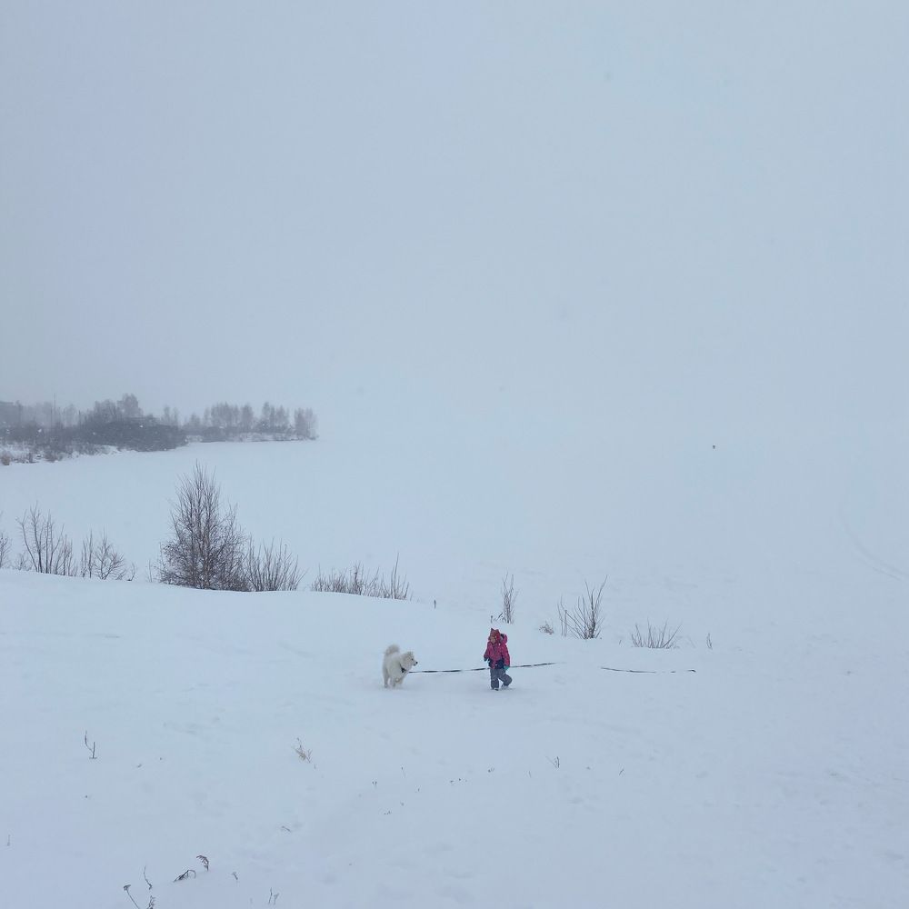 Photograph by Елена Иванова